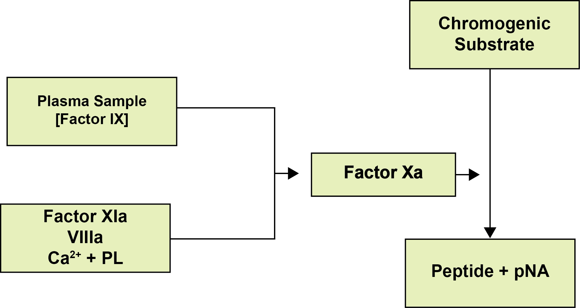 Chromogenic Factor IX Assay